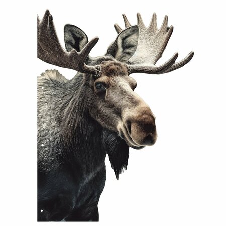 Next Innovations Peeking Moose 101156023